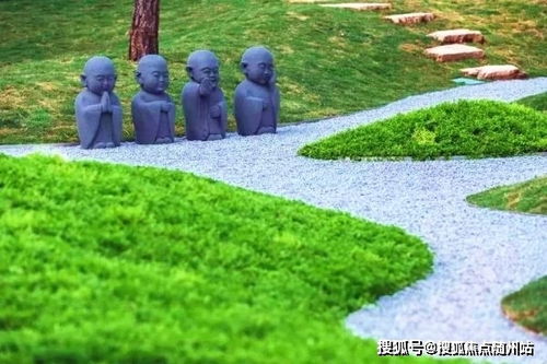 2024年最新跑狗图|把握核心问题的解答与落实_娱乐版ISHOP.4.370
